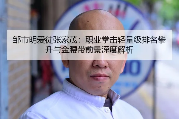 zou-shi-ming-ai-tu-zhang-jia-mao-zhi-ye-quan-ji-qing-liang-ji-pai-ming-pan-sheng-yu-jin-yao-dai-qian-jing-shen-du-jie-xi-3-888.jpg