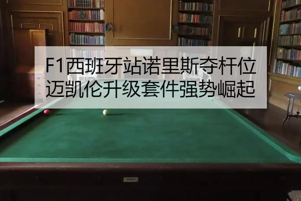 xi-ban-ya-zhan-nuo-li-si-duo-gan-wei-mai-kai-lun-sheng-ji-tao-jian-qiang-shi-jue-qi-3-592.jpg