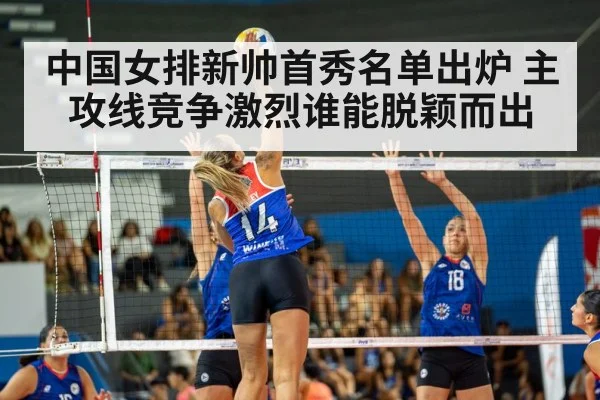 volleyball spike match